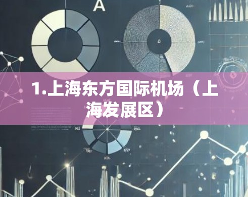1.上海东方国际机场（上海发展区）