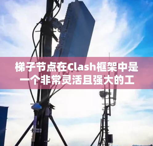 梯子节点在Clash框架中是一个非常灵活且强大的工具,用于将节点分配到不同的层级。以下是对梯子节点的详细说明,涵盖其主要参数及其使用场景 梯子节点在Clash框架中是一个非常灵活且强大的工具,用于将节点分配到不同的层级。以下是对梯子节点的详细说明,涵盖其主要参数及其使用场景