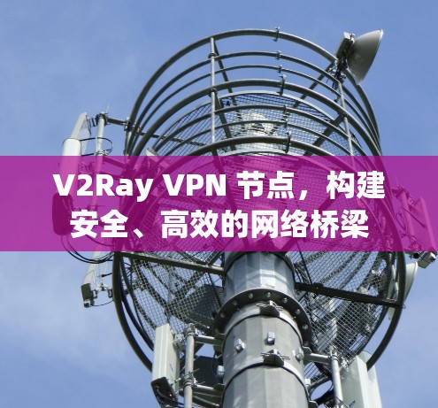 V2Ray VPN 节点，构建安全、高效的网络桥梁