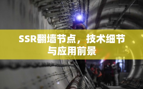 SSR翻墙节点，技术细节与应用前景