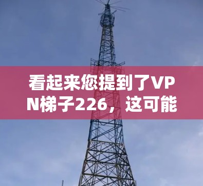 看起来您提到了VPN梯子226，这可能是指一个基于226年发布的VPN梯子软件或服务。VPN梯子通常指的是用于保护用户网络连接的工具，通常包括VPN服务和防火墙配置