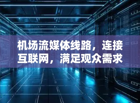 机场流媒体线路，连接互联网，满足观众需求