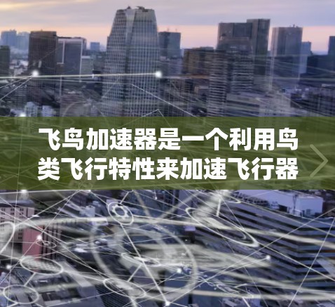 飞鸟加速器是一个利用鸟类飞行特性来加速飞行器的创新项目,具有广阔的应用前景。以下是对该项目的一些详细分析和总结 飞鸟加速器是一个利用鸟类飞行特性来加速飞行器的创新项目,具有广阔的应用前景。以下是对该项目的一些详细分析和总结