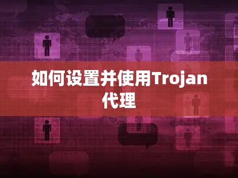 如何设置并使用Trojan代理