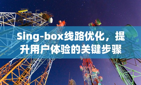 Sing-box线路优化，提升用户体验的关键步骤