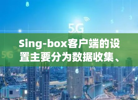 Sing-box客户端的设置主要分为数据收集、过滤和分析三个主要部分。以下是 Sing-box客户端的设置步骤和常用选项