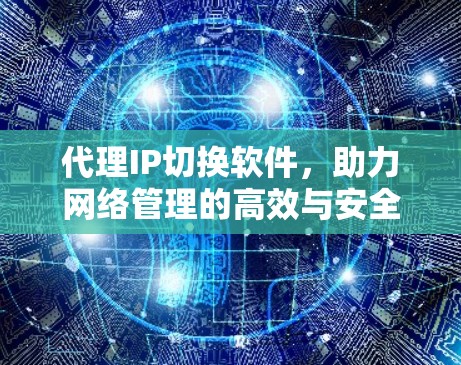 代理IP切换软件,助力网络管理的高效与安全 代理IP切换软件,助力网络管理的高效与安全