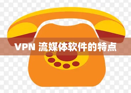 VPN 流媒体软件的特点