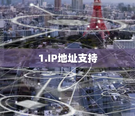 1.IP地址支持