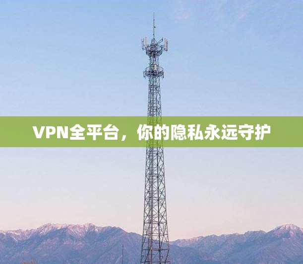 VPN全平台，你的隐私永远守护