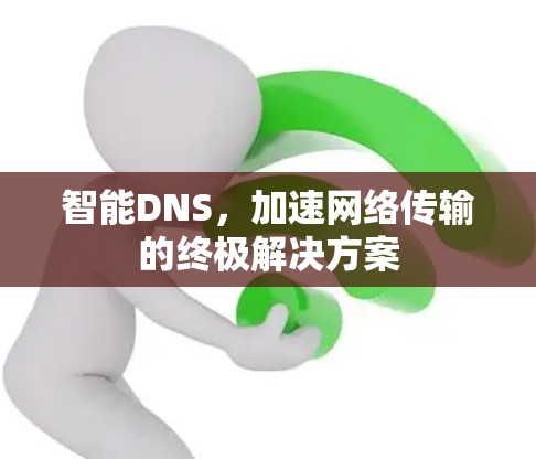 智能DNS，加速网络传输的终极解决方案