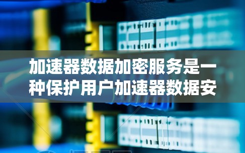 加速器数据加密服务是一种保护用户加速器数据安全的解决方案，旨在防止加速器被截获或滥用。以下是关于该主题的详细说明