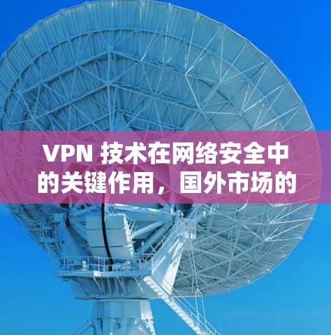 VPN 技术在网络安全中的关键作用，国外市场的应用与发展