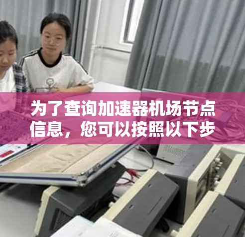 为了查询加速器机场节点信息，您可以按照以下步骤操作