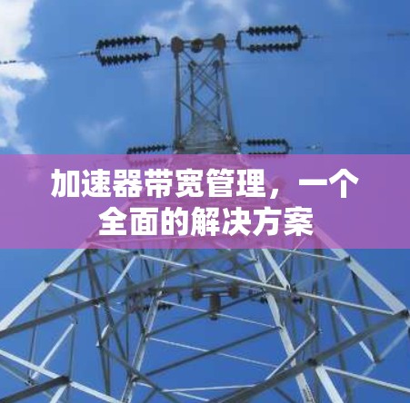 加速器带宽管理，一个全面的解决方案