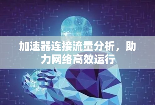 加速器连接流量分析，助力网络高效运行