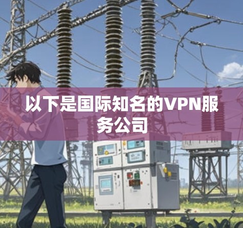 以下是国际知名的VPN服务公司