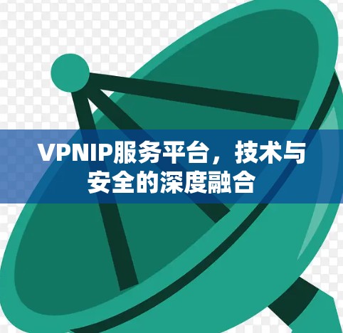 VPNIP服务平台，技术与安全的深度融合