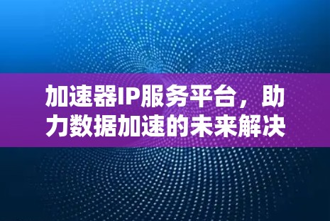 加速器IP服务平台，助力数据加速的未来解决方案