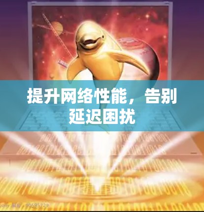 提升网络性能，告别延迟困扰