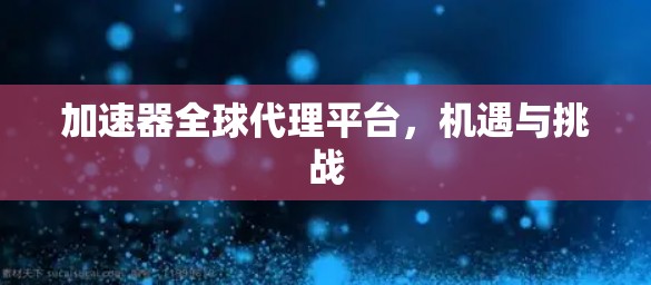 加速器全球代理平台，机遇与挑战