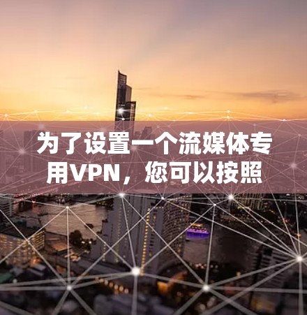 为了设置一个流媒体专用VPN，您可以按照以下步骤进行操作