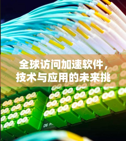 全球访问加速软件，技术与应用的未来挑战