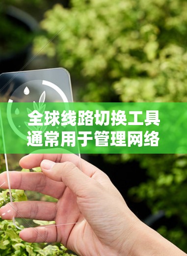 全球线路切换工具通常用于管理网络设备之间的连接和切换，以确保网络的稳定性和高效性。以下是一些可能涉及全球线路切换的工具及其功能