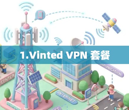 1.Vinted VPN 套餐