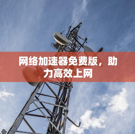网络加速器免费版，助力高效上网
