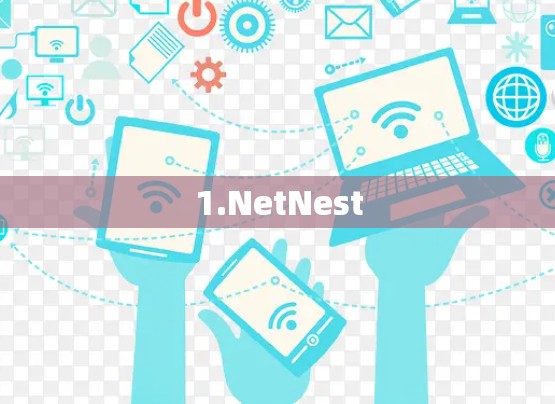 1.NetNest