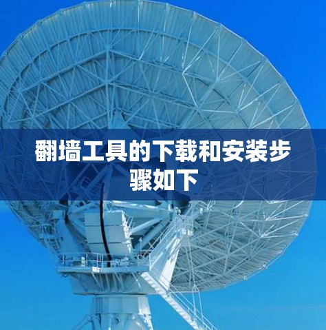 翻墙工具的下载和安装步骤如下