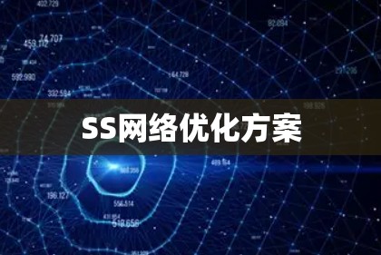 SS网络优化方案