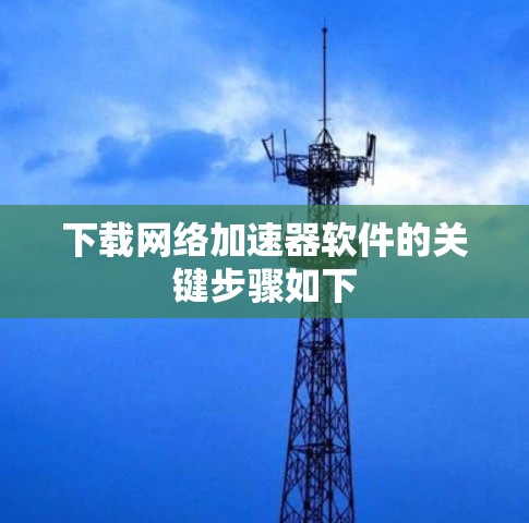 下载网络加速器软件的关键步骤如下