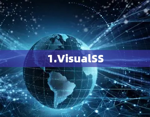 1.VisualSS
