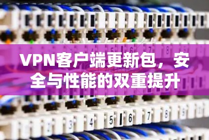 VPN客户端更新包，安全与性能的双重提升