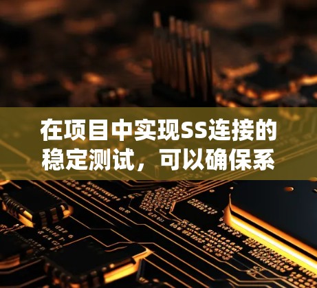 在项目中实现SS连接的稳定测试，可以确保系统的稳定性和性能。以下是如何逐步实施这一过程的总结