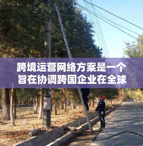 跨境运营网络方案是一个旨在协调跨国企业在全球范围内业务活动的网络结构，旨在优化资源分配、减少 costs 和提高效率。以下是一个详细的概述