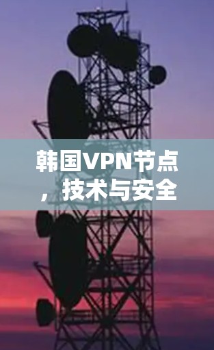 韩国VPN节点，技术与安全的双重挑战