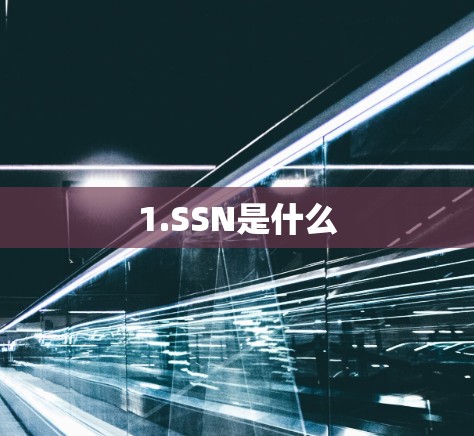 1.SSN是什么