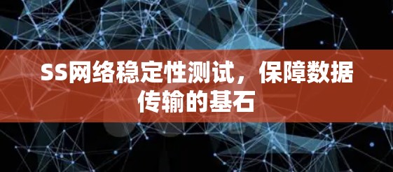 SS网络稳定性测试，保障数据传输的基石