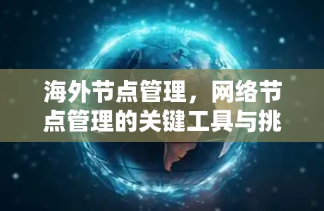 海外节点管理，网络节点管理的关键工具与挑战