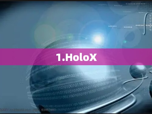 1.HoloX