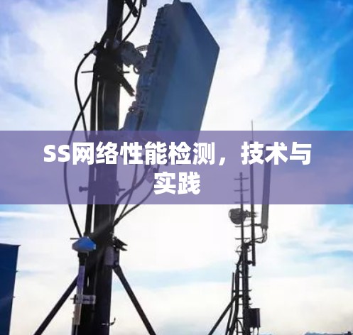 SS网络性能检测，技术与实践