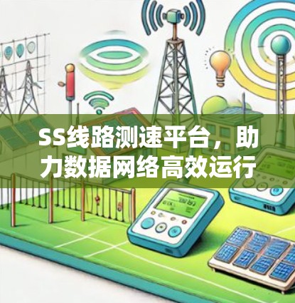 SS线路测速平台，助力数据网络高效运行