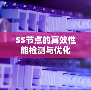 SS节点的高效性能检测与优化