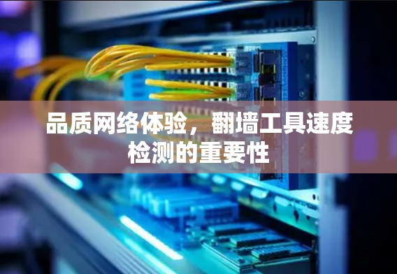 品质网络体验，翻墙工具速度检测的重要性