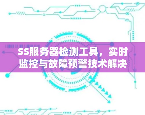 SS服务器检测工具，实时监控与故障预警技术解决方案