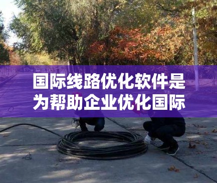 国际线路优化软件是为帮助企业优化国际网络结构、管理全球业务而设计的工具。以下是一些常见的国际线路优化软件及其特点，供您参考