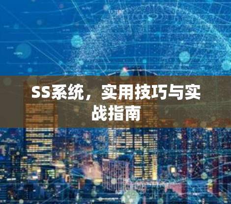 SS系统，实用技巧与实战指南